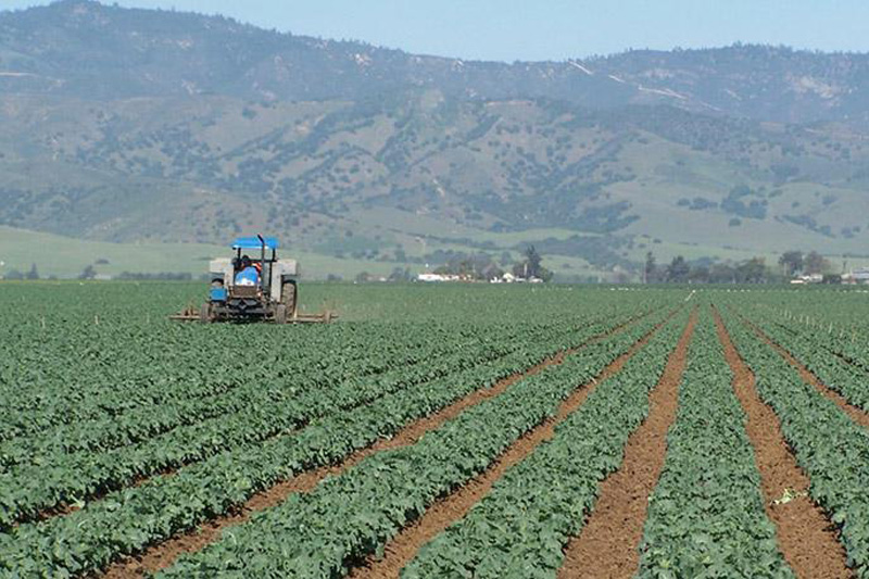 Hidróxido de Magnesio Fertilizantes