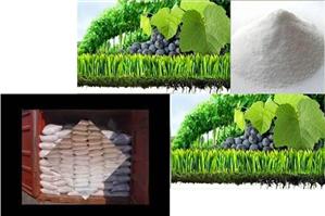 Hidróxido de Magnesio Fertilizantes